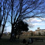 鴨川の木の下でお茶会　竹の茶室　帰庵　TEAISM