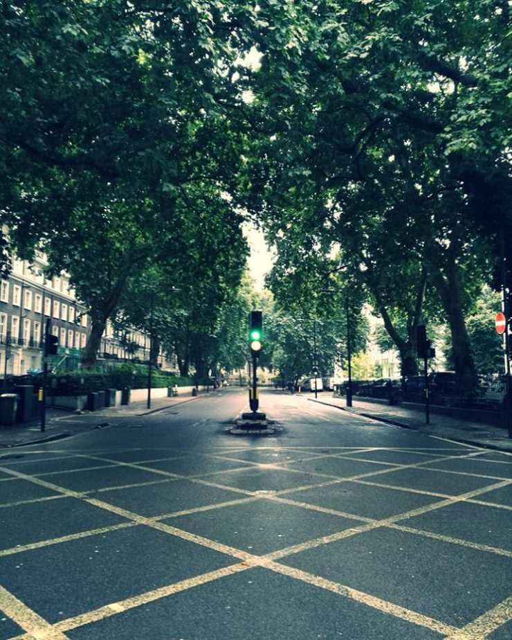 ロンドンの街路樹