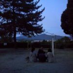 船岡山（京都市北区）茶会　スタンフォード大学