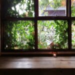西向きの窓に植物を　木漏れ日を楽しむ