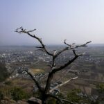 太郎坊宮　夫婦岩　滋賀県東近江市