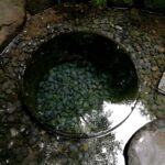明治神宮御苑　清正井　湧水の井戸