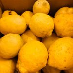 ノーワックス国産レモン訳あり品