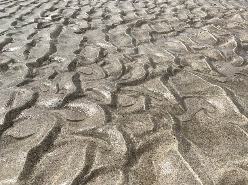 浜辺の模様　風紋