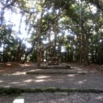 宗像大社　高宮祭場　福岡県