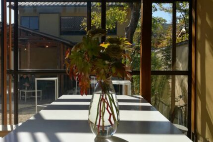 ガラスの花瓶に陽の光が差し込む