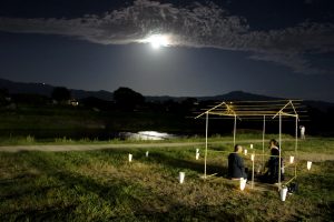 中秋の名月 茶会