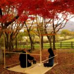 秋の蒜山高原茶会