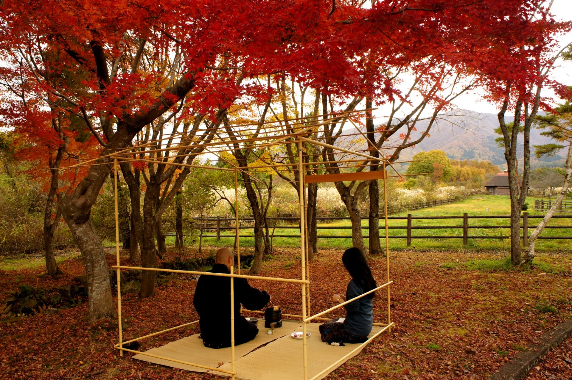 秋の蒜山高原茶会