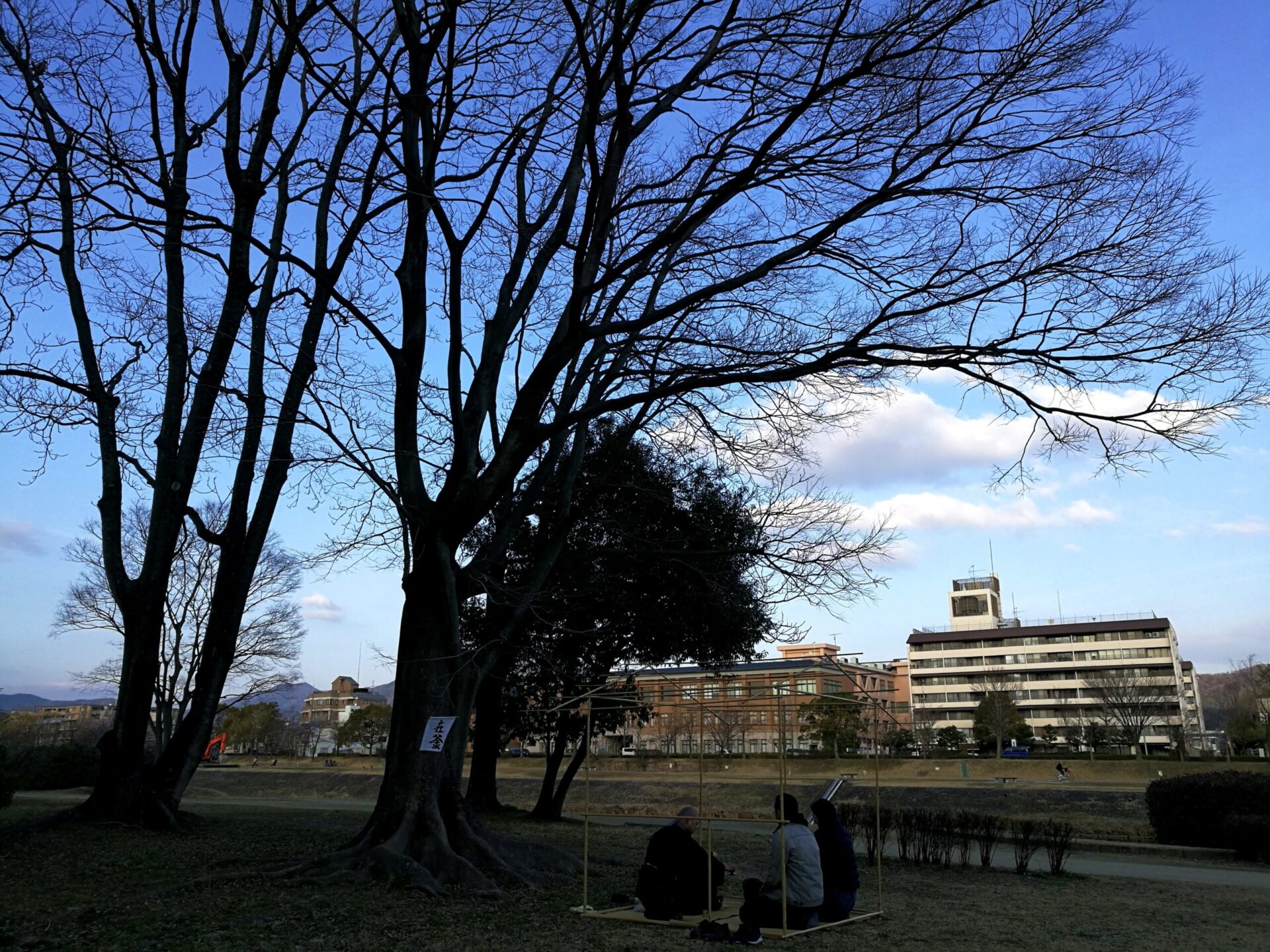 木の下の帰庵