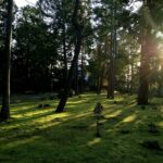 大徳寺南門横の庭