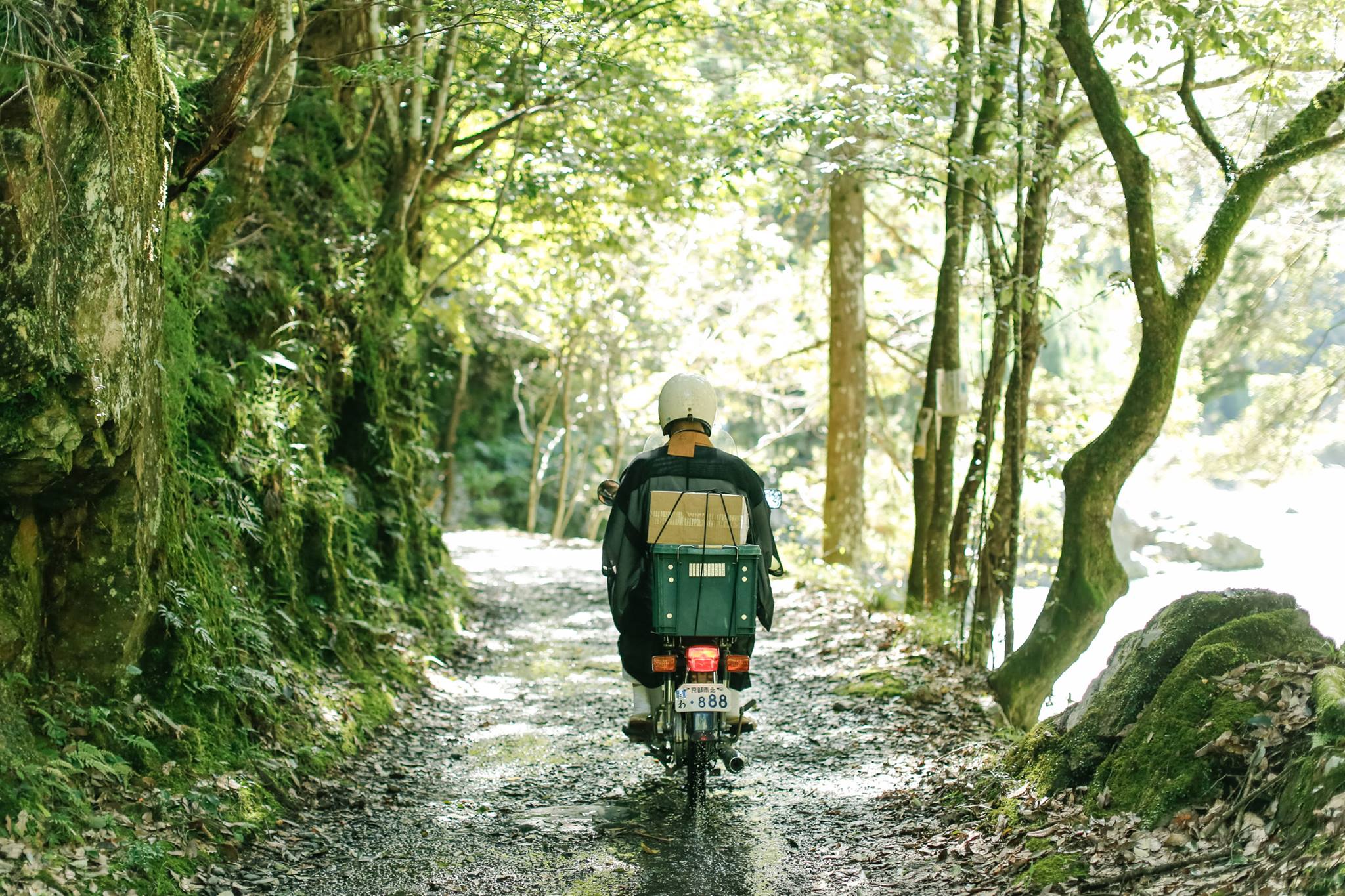 電通報　戸田惺山