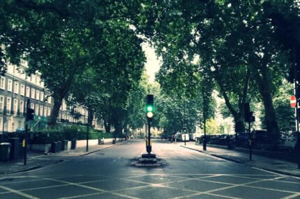 ロンドンの街路樹