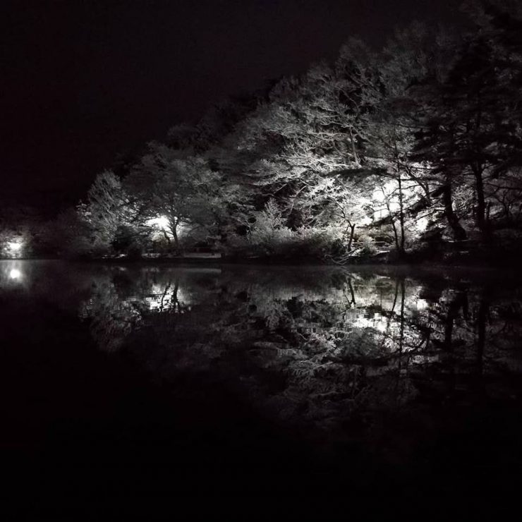 雪の夜の宝ヶ池