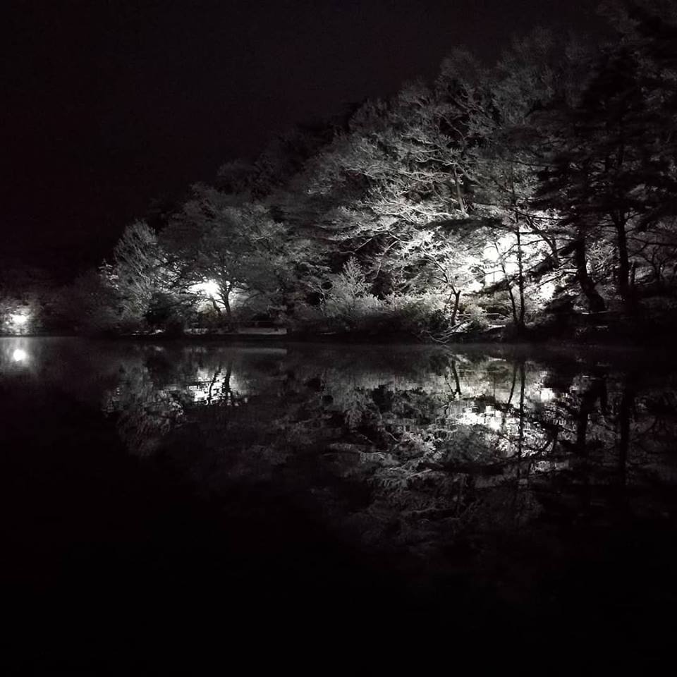 雪の夜の宝ヶ池