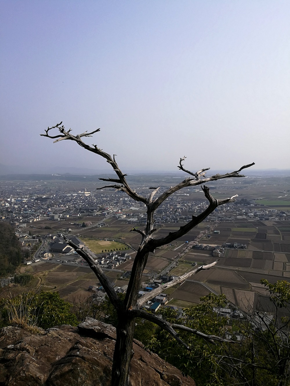 太郎坊宮