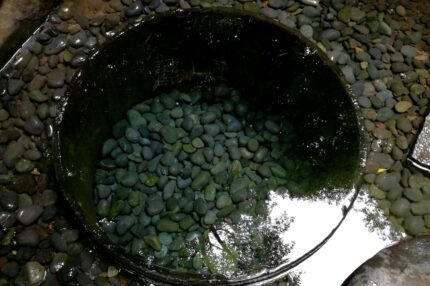 明治神宮　清正の井戸