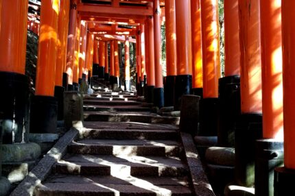 伏見稲荷の鳥居の光と影