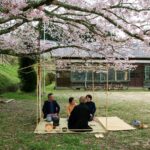 廃校小学校で花見茶会　2016年4月　京都