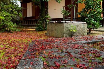 大徳寺　大慈院