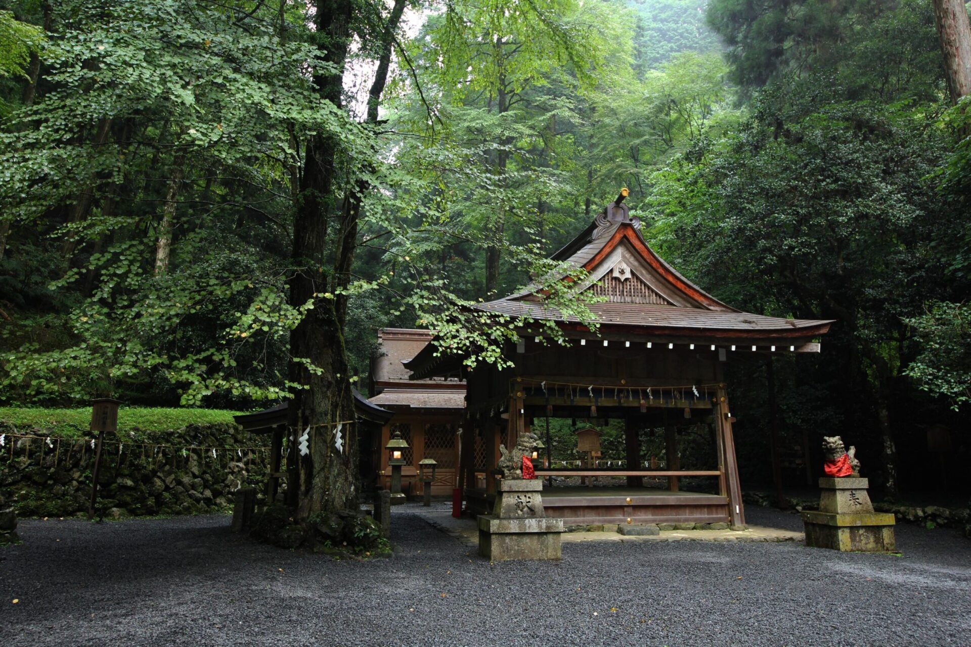 KYOTOGRAPHIE 京都国際写真祭 2020 特別プログラム 「貴船神社奥宮 茶会」