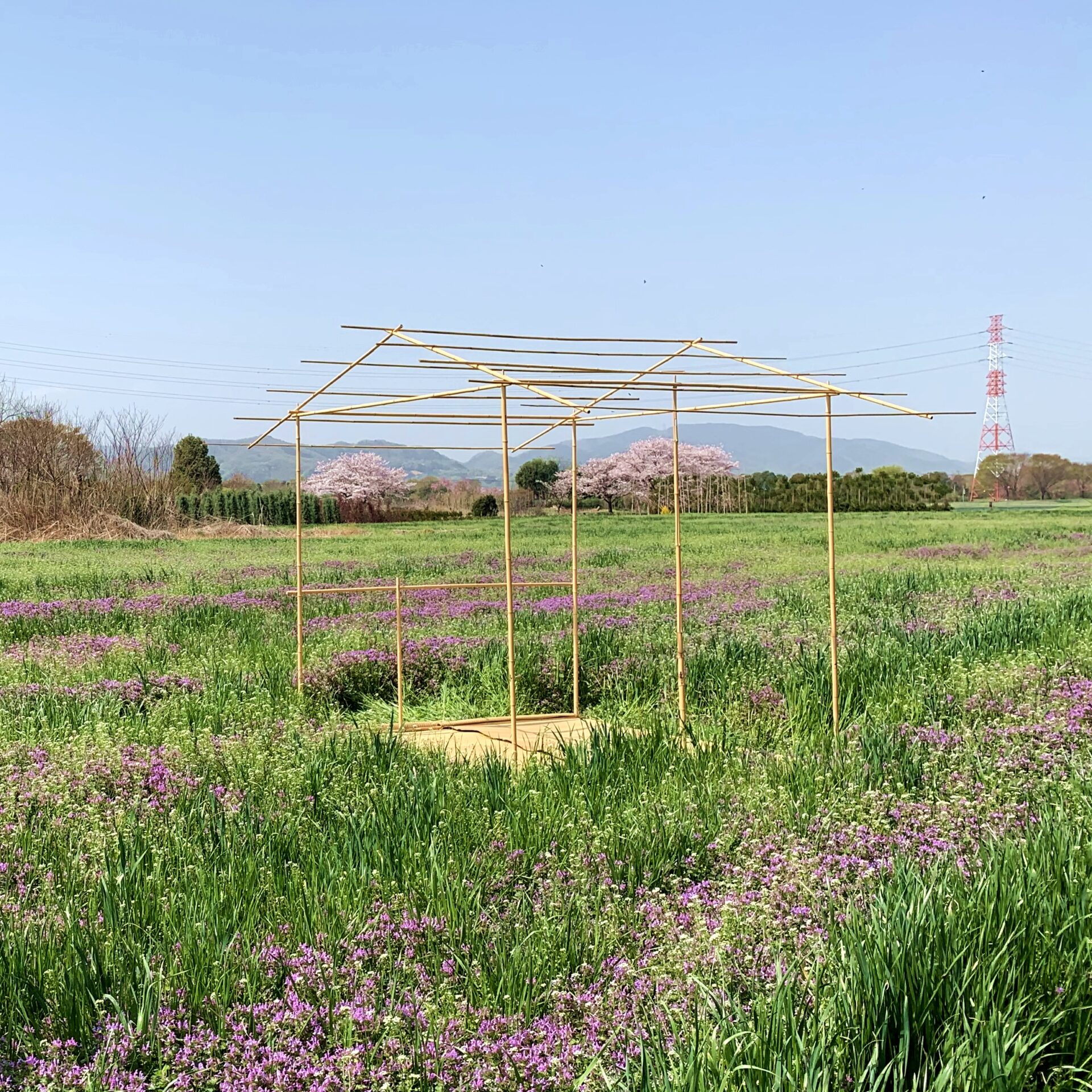 せかほし　竹の茶室　帰庵