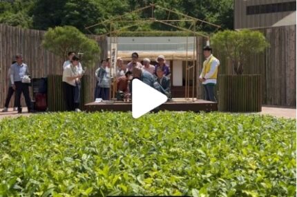 韓国ハドンお茶会　竹の茶室帰庵