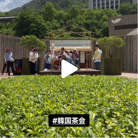 韓国ハドンお茶会　竹の茶室帰庵