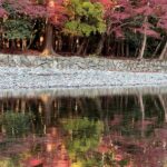 伊勢神宮内宮　五十鈴川の紅葉