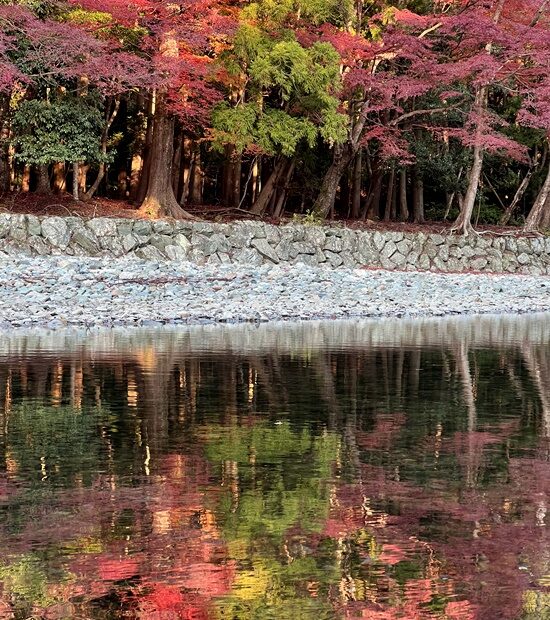 伊勢神宮内宮　五十鈴川の紅葉