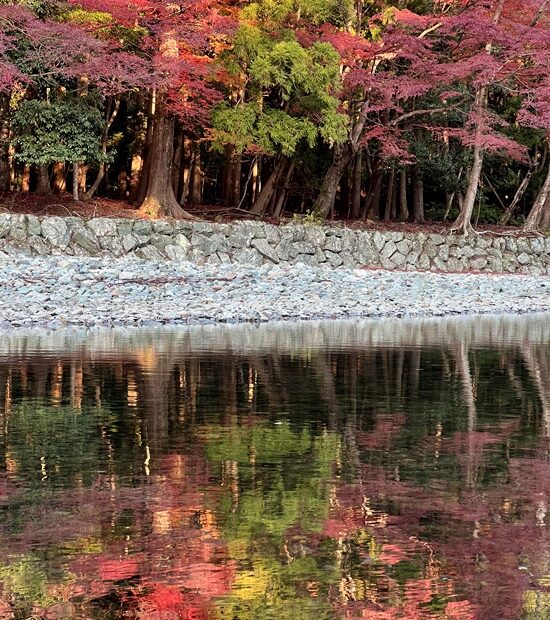 伊勢神宮内宮　五十鈴川の紅葉