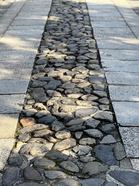 大徳寺石畳の光と影