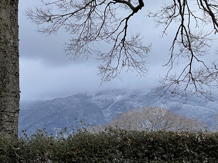 京都の山が冠雪　鴨川から