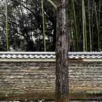 雪の大徳寺の瓦塀と竹林