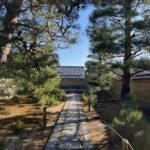 京都・大徳寺の参道　龍のような松と青い空