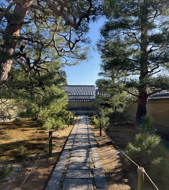 大徳寺の参道