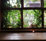 西窓の木漏れ日