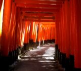 千本鳥居