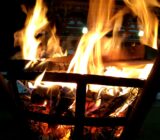 平成３１年歳旦祭下鴨神社