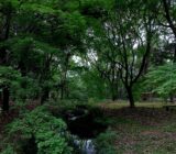 糺の森　市民植樹祭