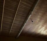 茶室の天井　杉柾矢羽根網代と蒲天井